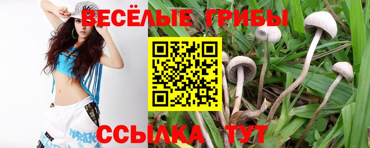 Салехард  Псилоцибиновые грибы GOLDEN TEACHER  Вход с VPN  Галлюциногенные грибы Magic Shrooms 
